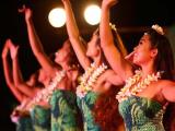  Discount Tickets to Germaines Luau